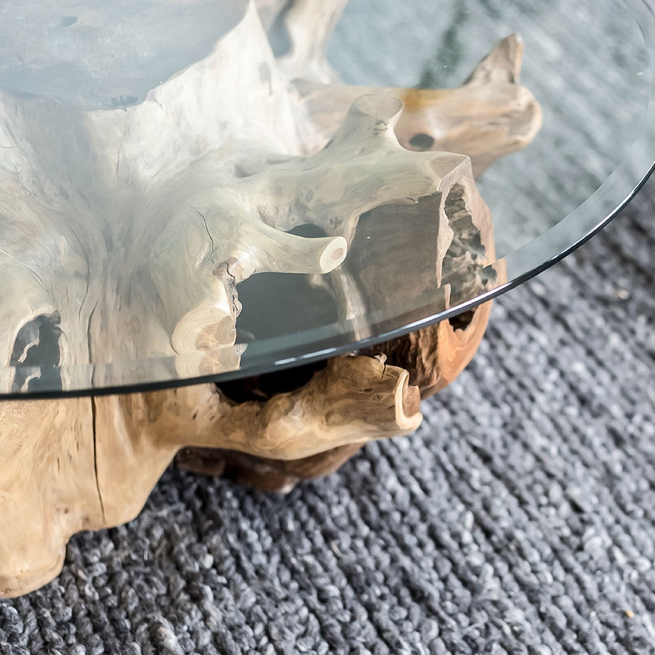 Natura Round Root Coffee Table - S