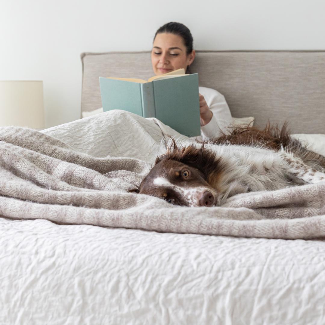 Julia Double Storage Bed Short - Sand