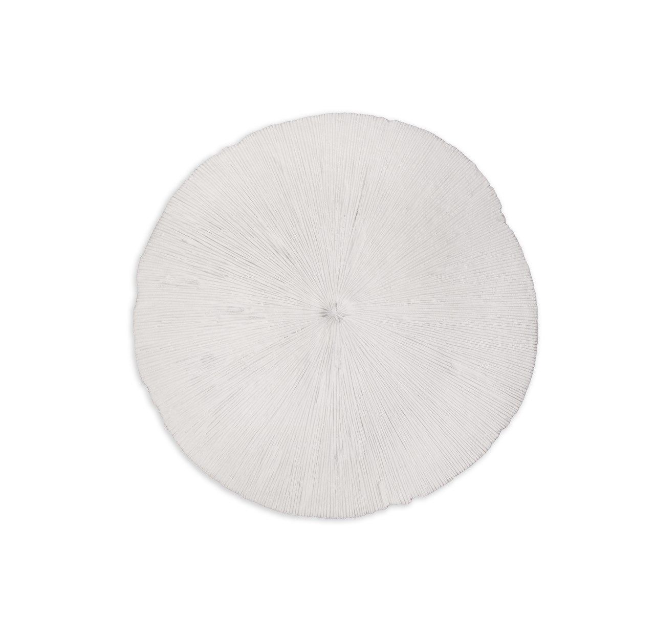 Sand Dollar - M