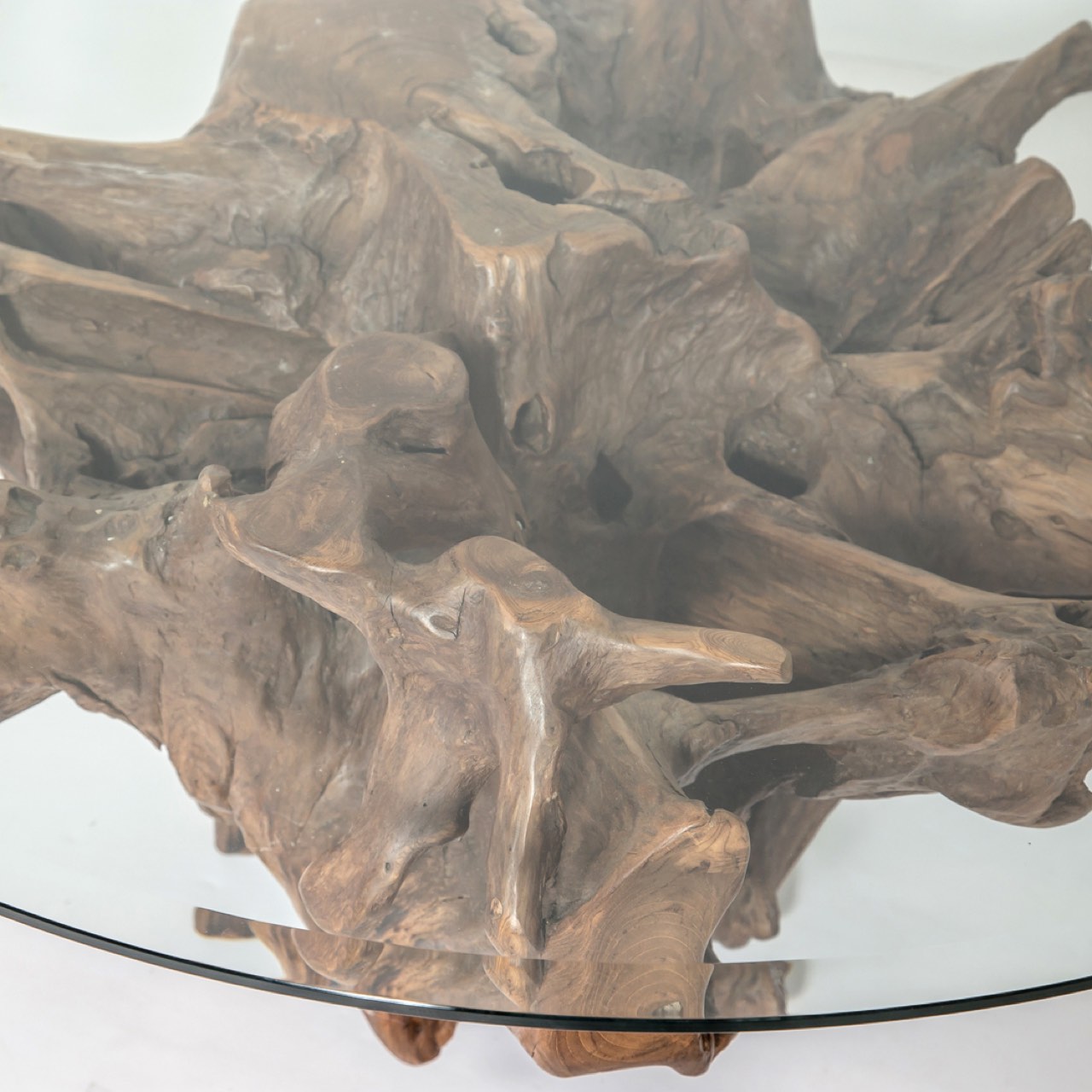 Natura Round Root Coffee Table - S